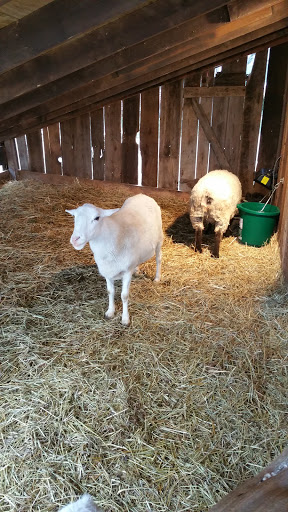 Funeral Home «Paul R Young Funeral Home», reviews and photos, 7345 Hamilton Ave, Cincinnati, OH 45231, USA