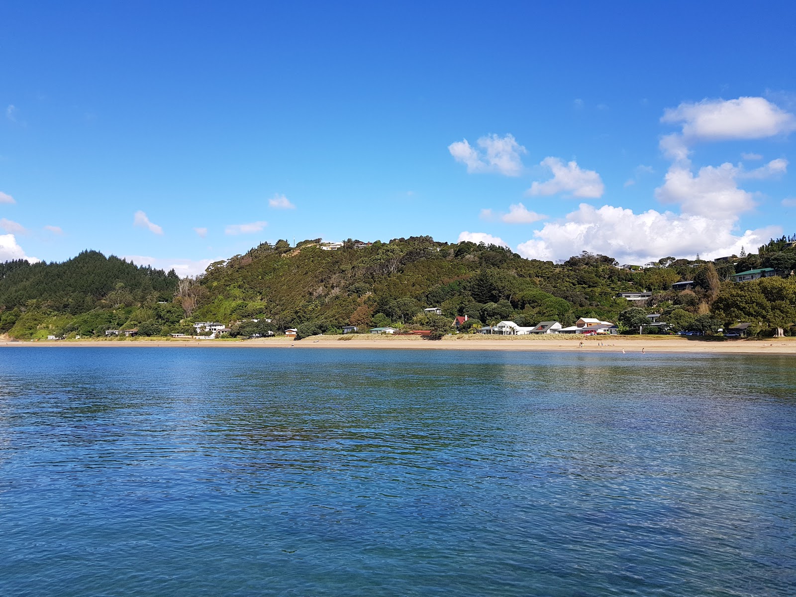 Foto von Oneroa Bay Beach von Klippen umgeben