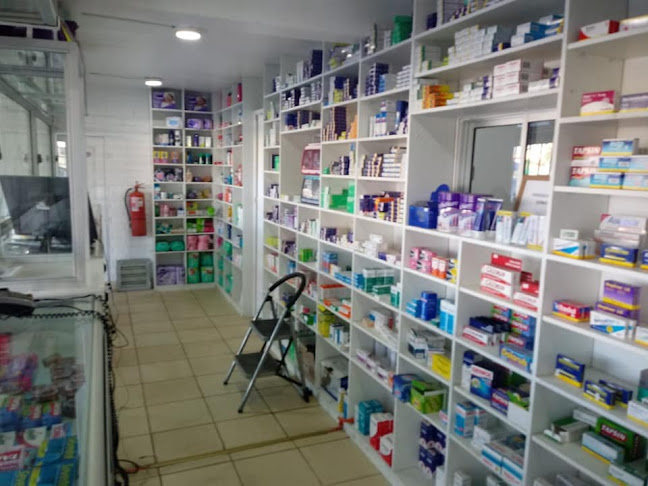Farmacias Torres - La Pintana