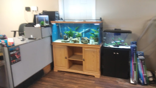 Tropical Fish Store «Serenity Aquariums LLC», reviews and photos, 410 N Kings Rd #101, Nampa, ID 83687, USA