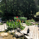 Photo n° 18 de l'avis de At. fait le 22/11/2019 à 10:58 pour Jardin des Fontaines Pétrifiantes à La Sône