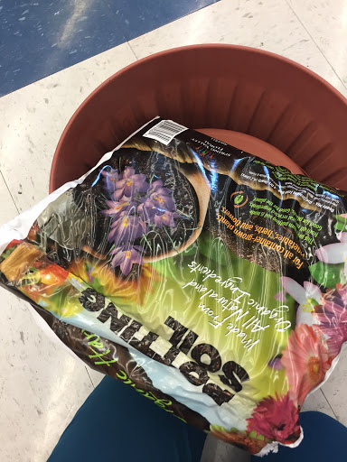 Discount Store «99 Cents Only Stores», reviews and photos, 8723 Sepulveda Blvd, North Hills, CA 91343, USA