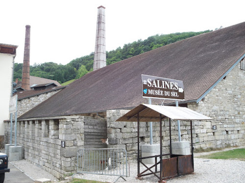 Le Salinois à Salins-les-Bains