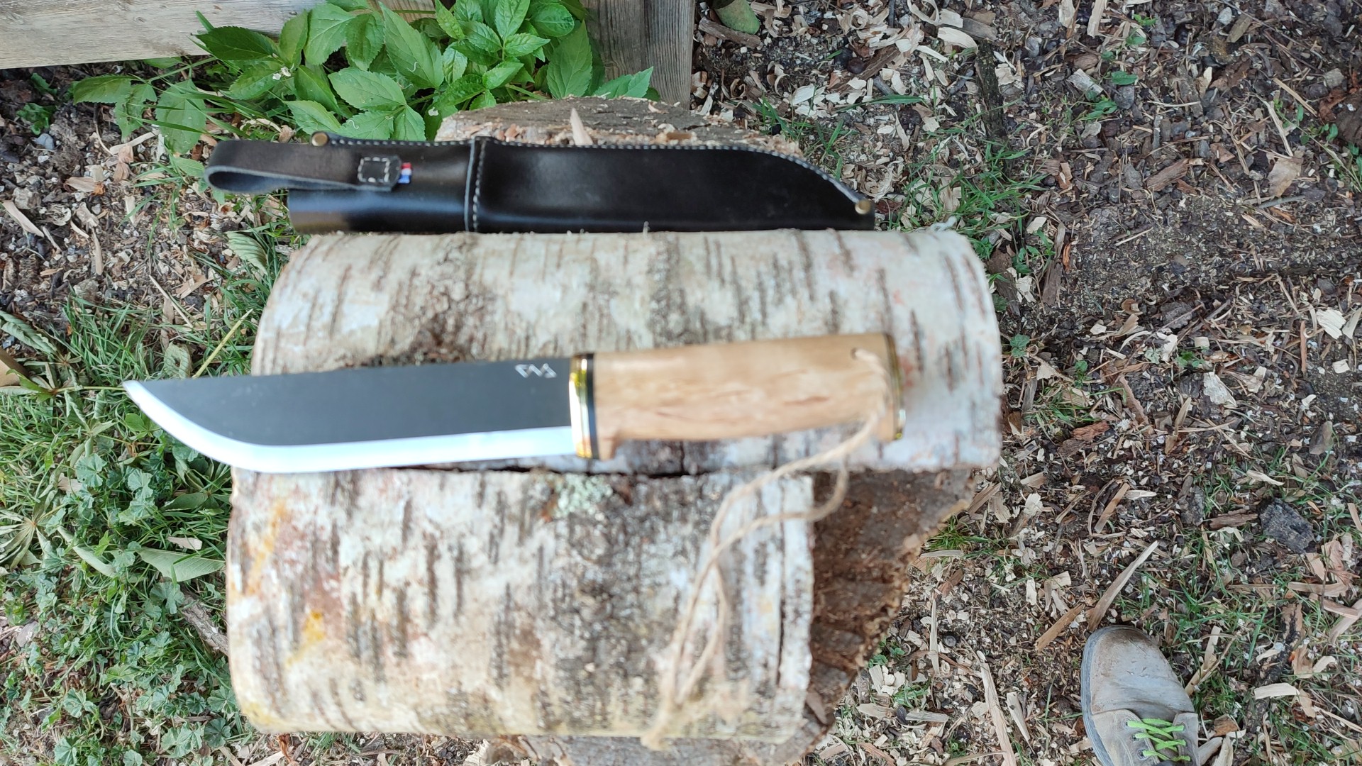 Photo n° 1 de l'avis de bushcraft.a fait le 06/05/2022 à 16:55