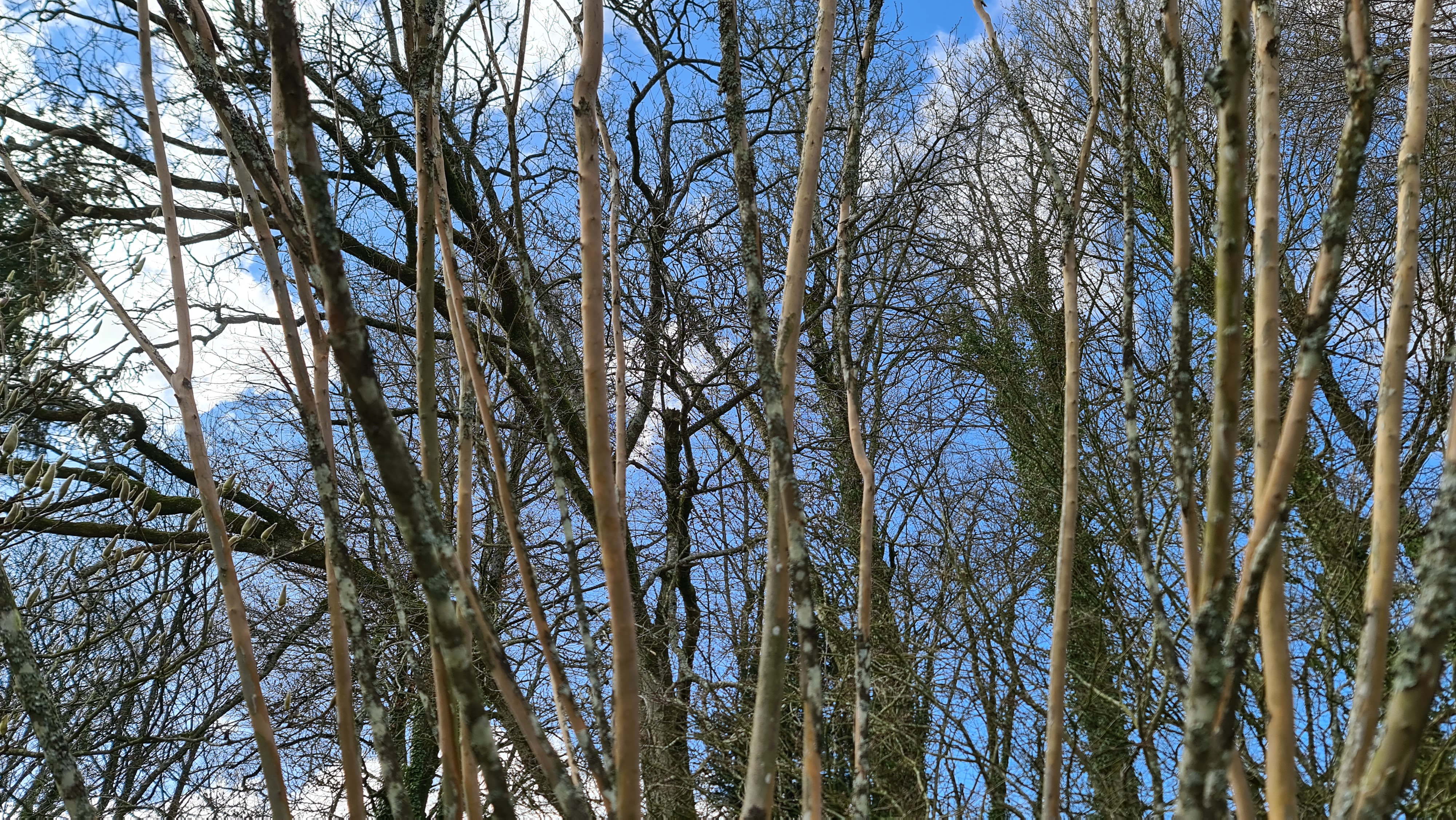 Photo n° 7 de l'avis de Simon.L fait le 14/03/2022 à 19:44
