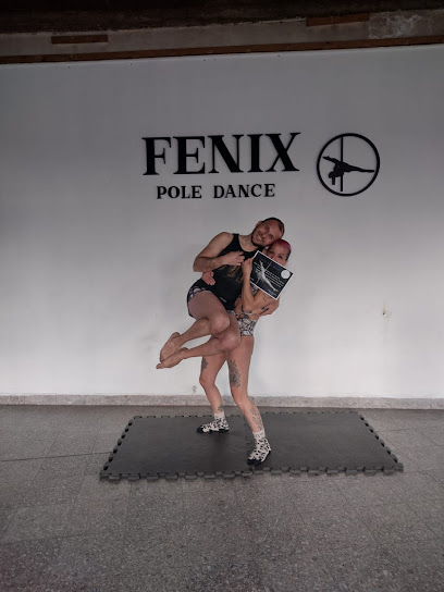 Fénix pole dance 2