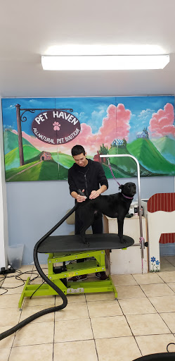 Pet Supply Store «Pet Haven», reviews and photos, 626 N Glenoaks Blvd, Burbank, CA 91502, USA