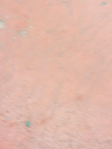 Sports Complex «Pacplex», reviews and photos, 1500 Paerdegat Ave N, Brooklyn, NY 11236, USA