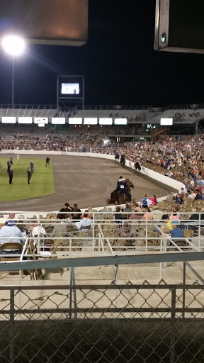 Stadium «Calsonic Arena», reviews and photos, 721 Whitthorne St, Shelbyville, TN 37160, USA