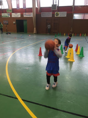Stade Compiegnois Basket Ball à Compiègne