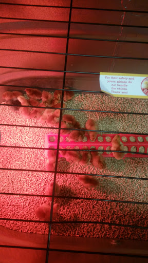 Animal Feed Store «Wilco Farm Store», reviews and photos, 3408 Hunt St NW, Gig Harbor, WA 98335, USA