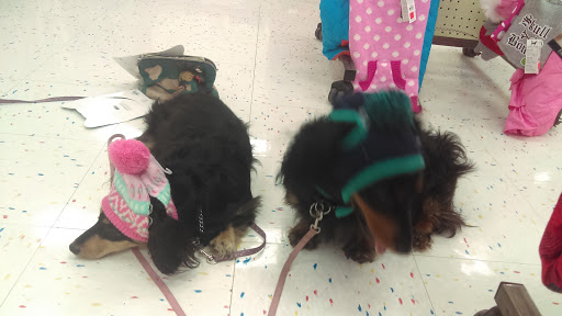 Pet Supply Store «Petco Animal Supplies», reviews and photos, 4950 S 76th St, Greenfield, WI 53220, USA