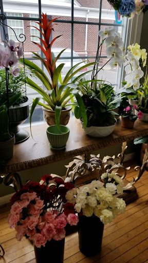 Florist «Agnew Florist-Watertown», reviews and photos, 587 Main St, Watertown, CT 06795, USA