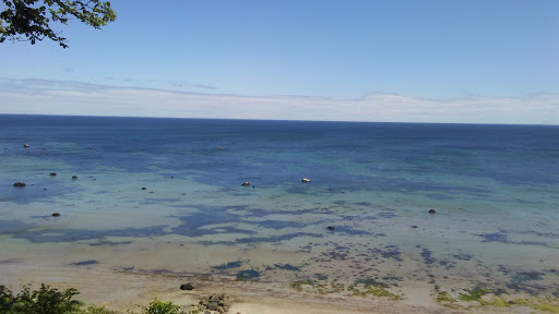 Dollar Store «Dollar Tree», reviews and photos, 713 State Rd, Plymouth, MA 02360, USA