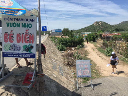 Vườn Nho Bé Diễm