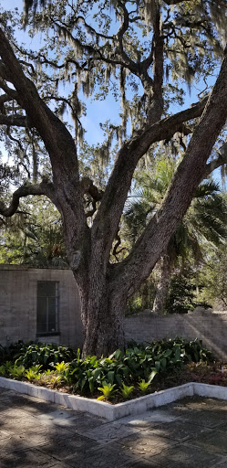 Non-Profit Organization «Art & History Museums - Maitland», reviews and photos, 231 W Packwood Ave, Maitland, FL 32751, USA