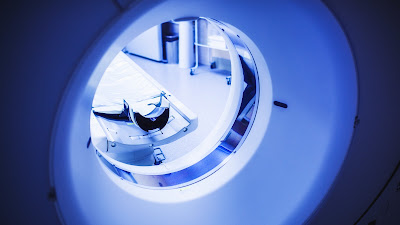 Scan Vet Loire | Scanner Vétérinaire à Saint Etienne à Saint-Étienne