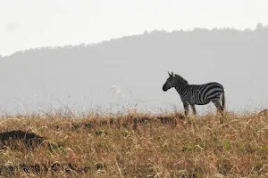 Piece Of Uganda Safaris image