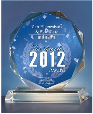 Zap Electrolysis & Skin Care