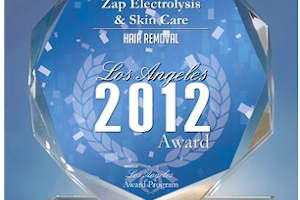 Zap! Electrolysis & Skin Care image