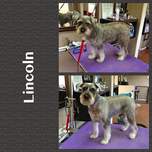 Boutique «Fetching Canine Grooming and Boutique», reviews and photos, 1490 W State Rd 434, Longwood, FL 32750, USA