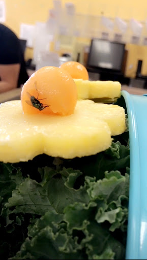 Gift Shop «Edible Arrangements», reviews and photos, 204 Main St, New Britain, CT 06051, USA