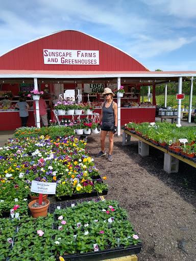 Produce Market «Sunscape Farms», reviews and photos, 1420 Creek St, Rochester, NY 14625, USA