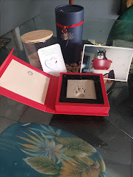 Photo n°5 de Esthima Beauvois-en-Cambrésis à Beauvois-en-Cambrésis ()