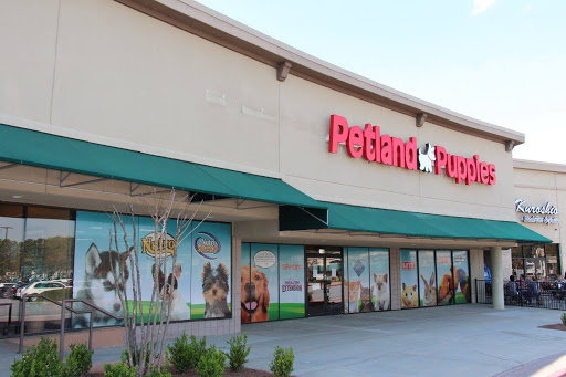 Petland Kennesaw, 840 Ernest W Barrett Pkwy NW #494, Kennesaw, GA 30144, USA, 