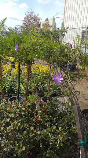 Gift Shop «Blue Hills Nursery & Gift Shop», reviews and photos, 16440 Whittier Blvd, Whittier, CA 90603, USA