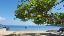 Praia de Bananal Grande'in fotoğrafı uçurumlarla desteklenmiş