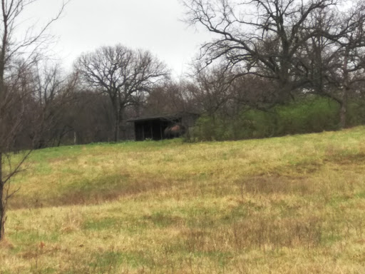 Golf Course «Hodge Park Golf Course», reviews and photos, 7000 NE Barry Rd, Kansas City, MO 64156, USA