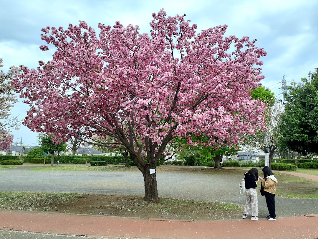 川越市岸町健康ふれあい広場