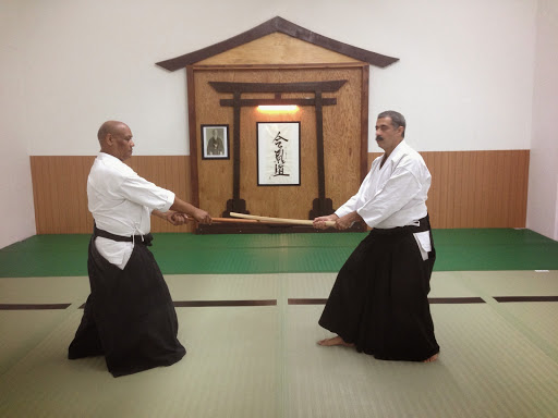 Aikido School Rgv Texas