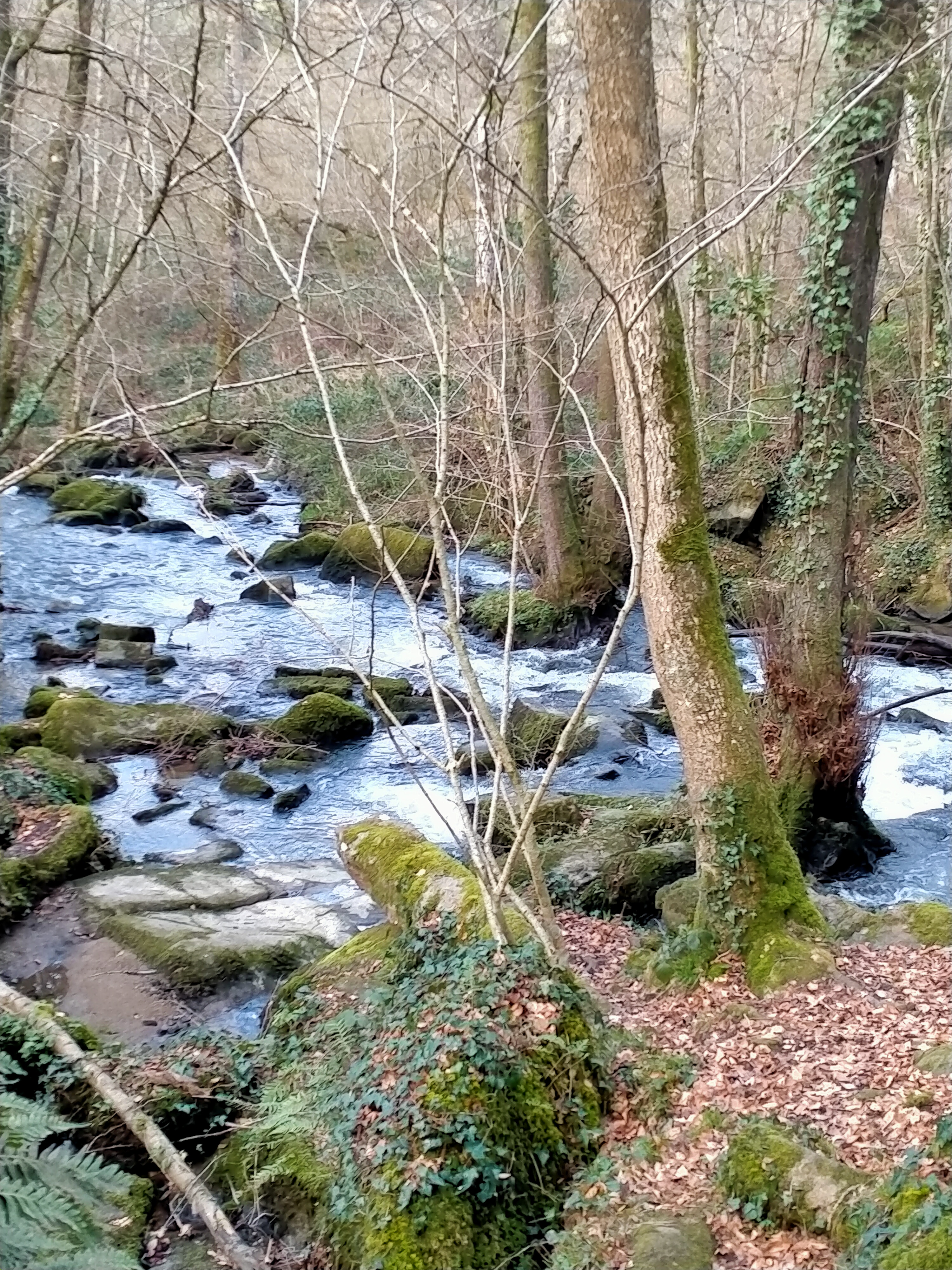 Photo n° 1 de l'avis de Virginie.o fait le 06/03/2022 à 17:48