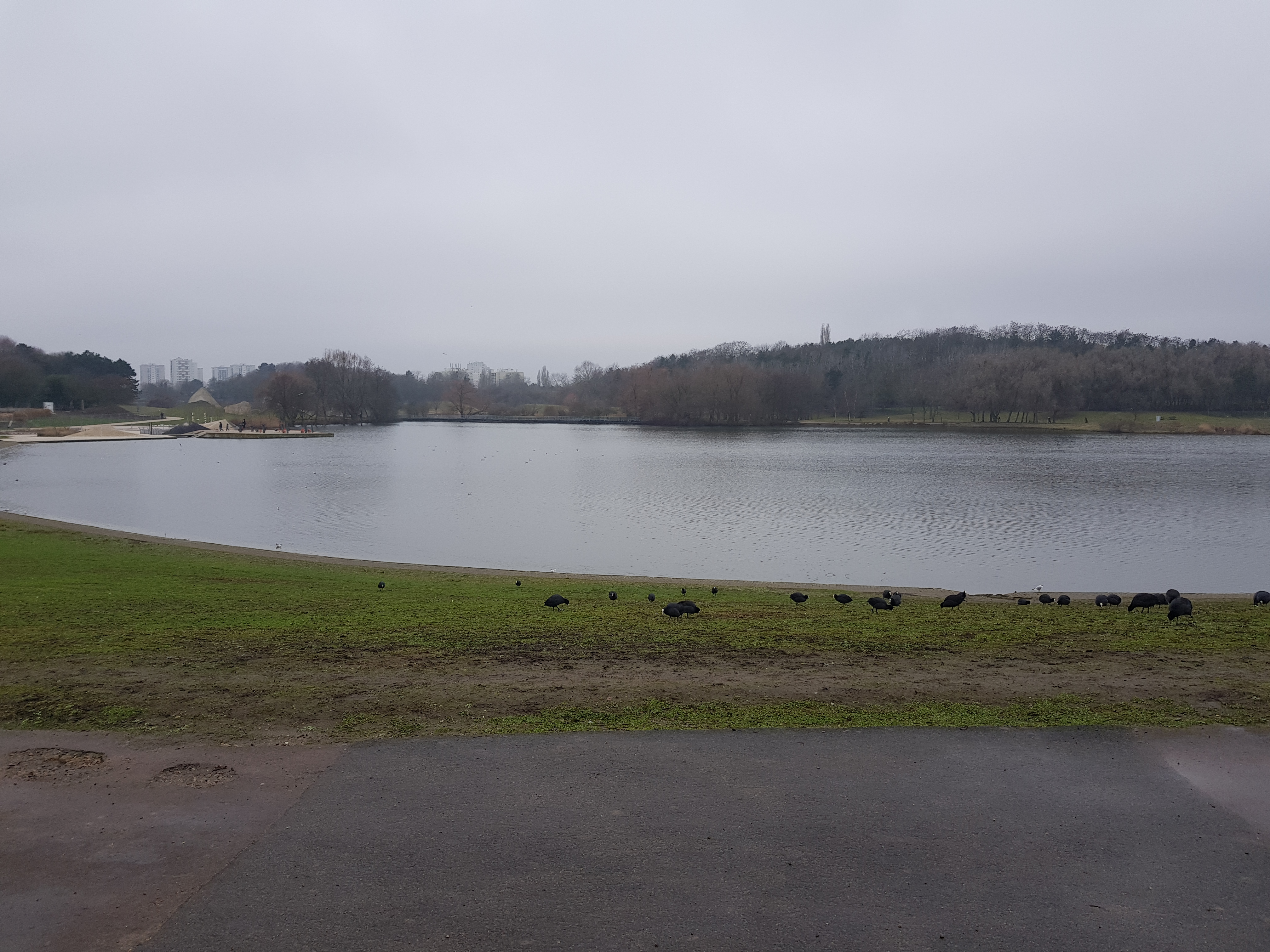 Photo n° 18 de l'avis de MICHELSON. fait le 20/01/2019 à 13:37