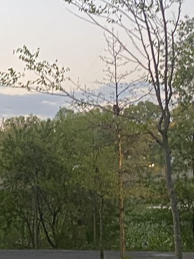 Park «Baisley Pond Park», reviews and photos, Baisley Blvd, Jamaica, NY 11434, USA