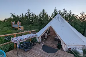 White Aspen Camping image