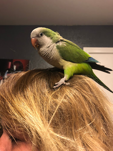 Tattoo Shop «Revolt Tattoos», reviews and photos, 4480 Paradise Rd #700, Las Vegas, NV 89169, USA