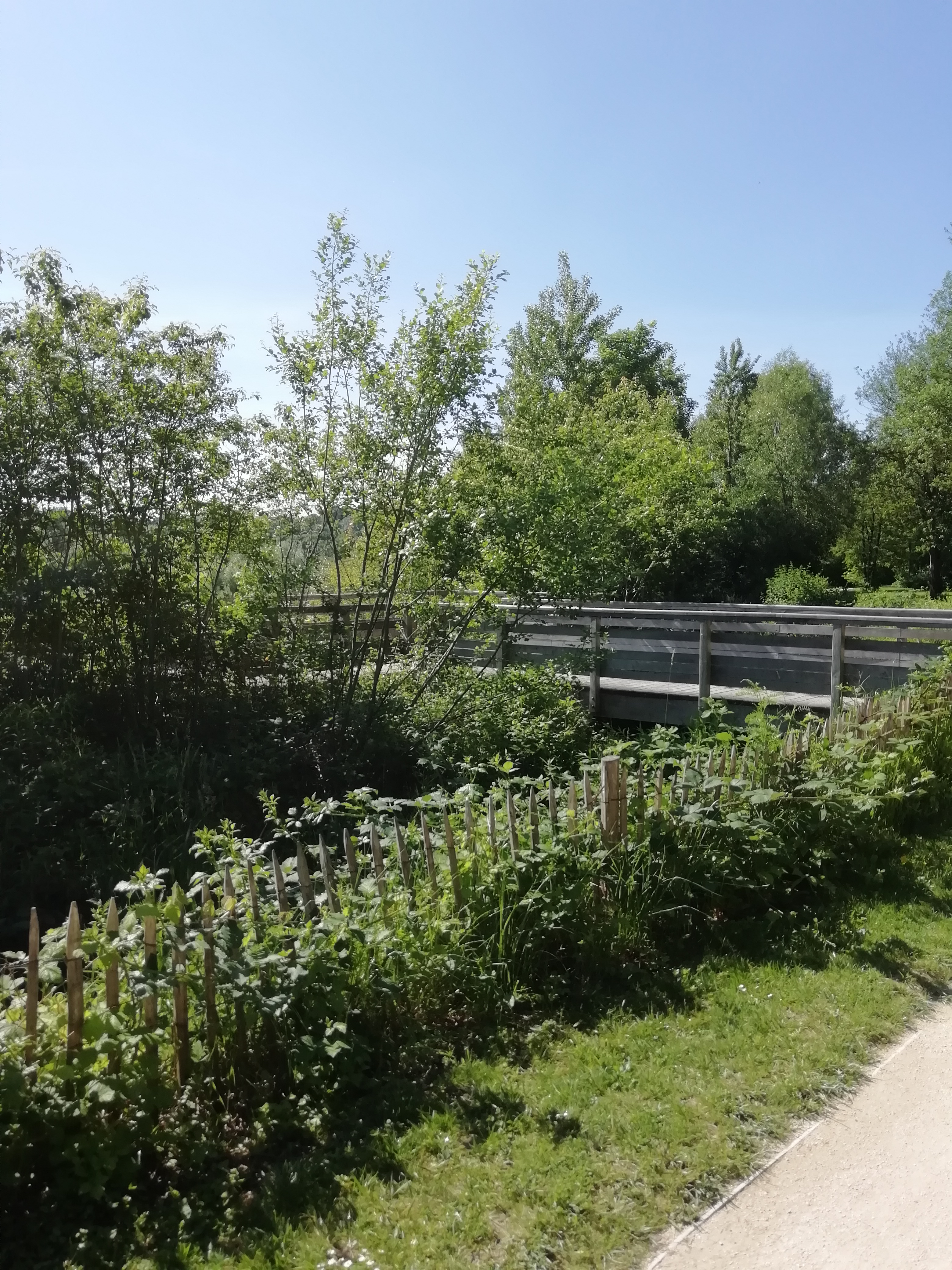 Photo n° 17 de l'avis de dada.r fait le 01/06/2019 à 11:10