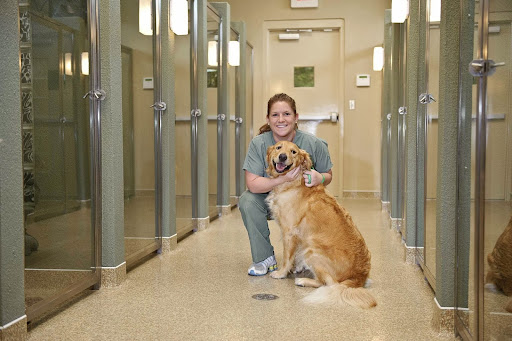 Town & Country Veterinarians and Pet Resort image