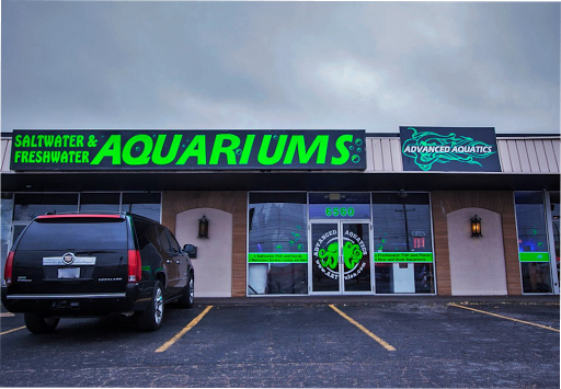 Pet Store «Advanced Aquatics», reviews and photos, 6560 E 41st St, Tulsa, OK 74145, USA