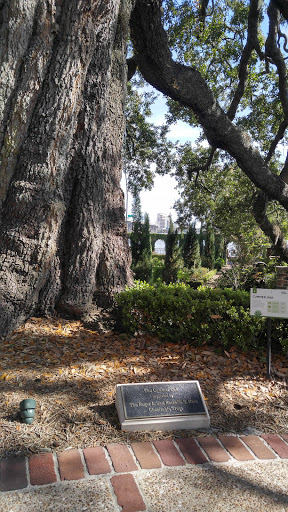 Arts Organization «Riverside Arts Market», reviews and photos, 715 Riverside Ave, Jacksonville, FL 32204, USA