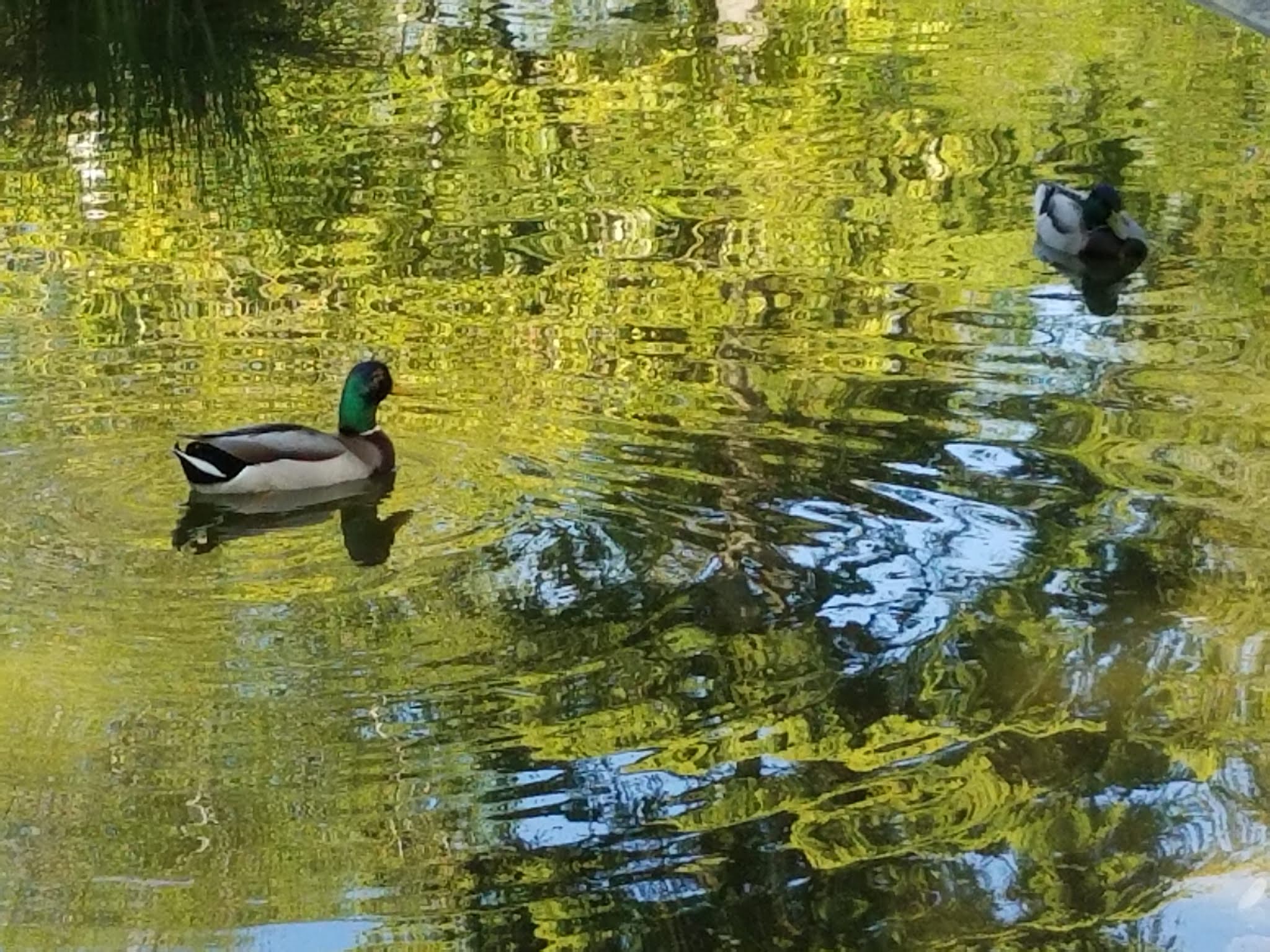 Photo n° 17 de l'avis de Elo.i fait le 14/09/2019 à 15:15
