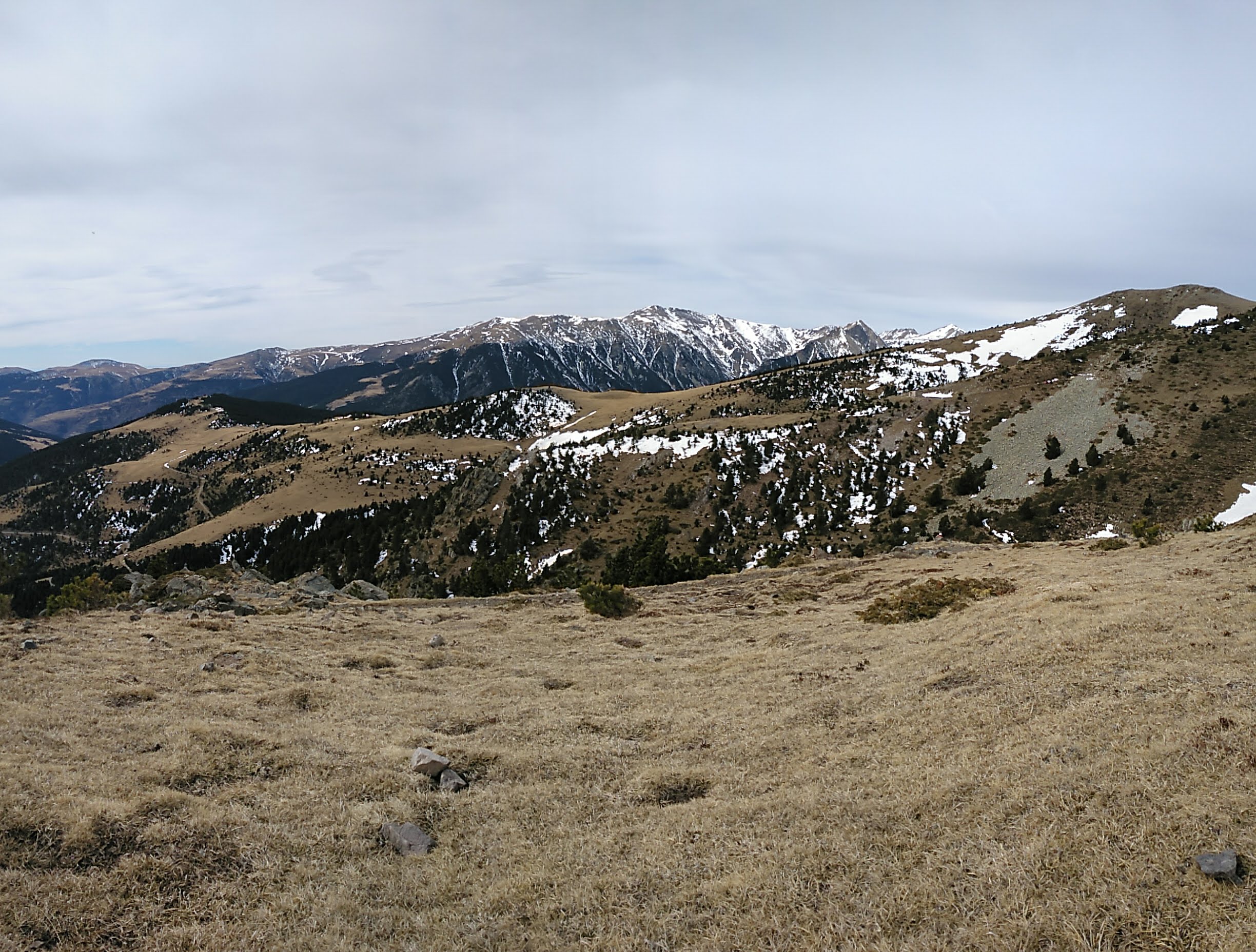 Photo n° 4 de l'avis de Pau. fait le 14/03/2019 à 12:45