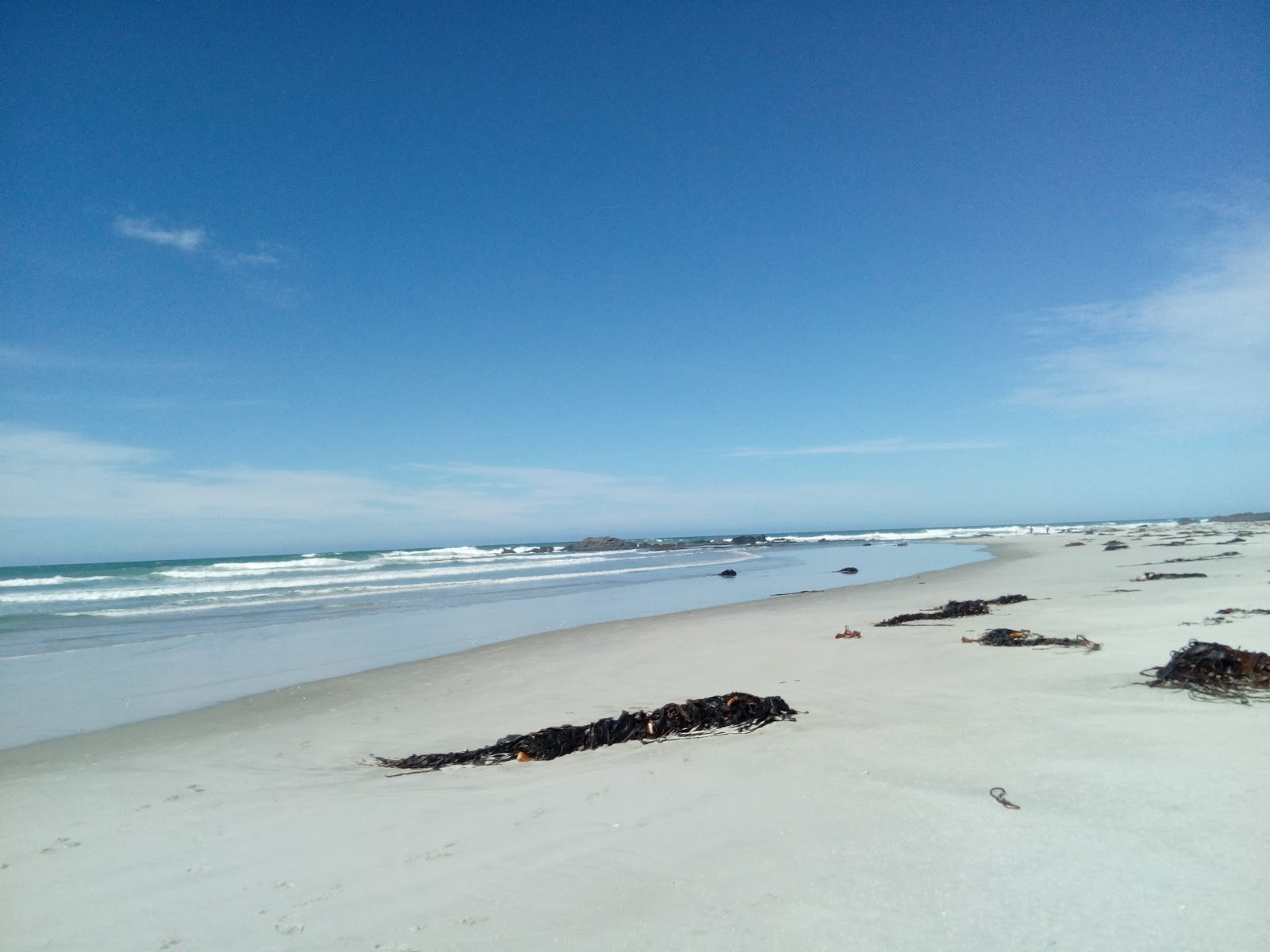 Foto de Taieri Mouth Beach e o assentamento