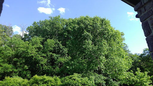 Nature Preserve «Benjamin Olewine III Nature Center», reviews and photos, 100 Wildwood Way, Harrisburg, PA 17110, USA