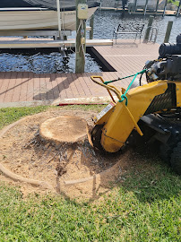 CLEAN VIEW TREE SERVICES SW FLORIDA INC - Photo 6 - Car repair in Cape Coral, FL, Cape Coral