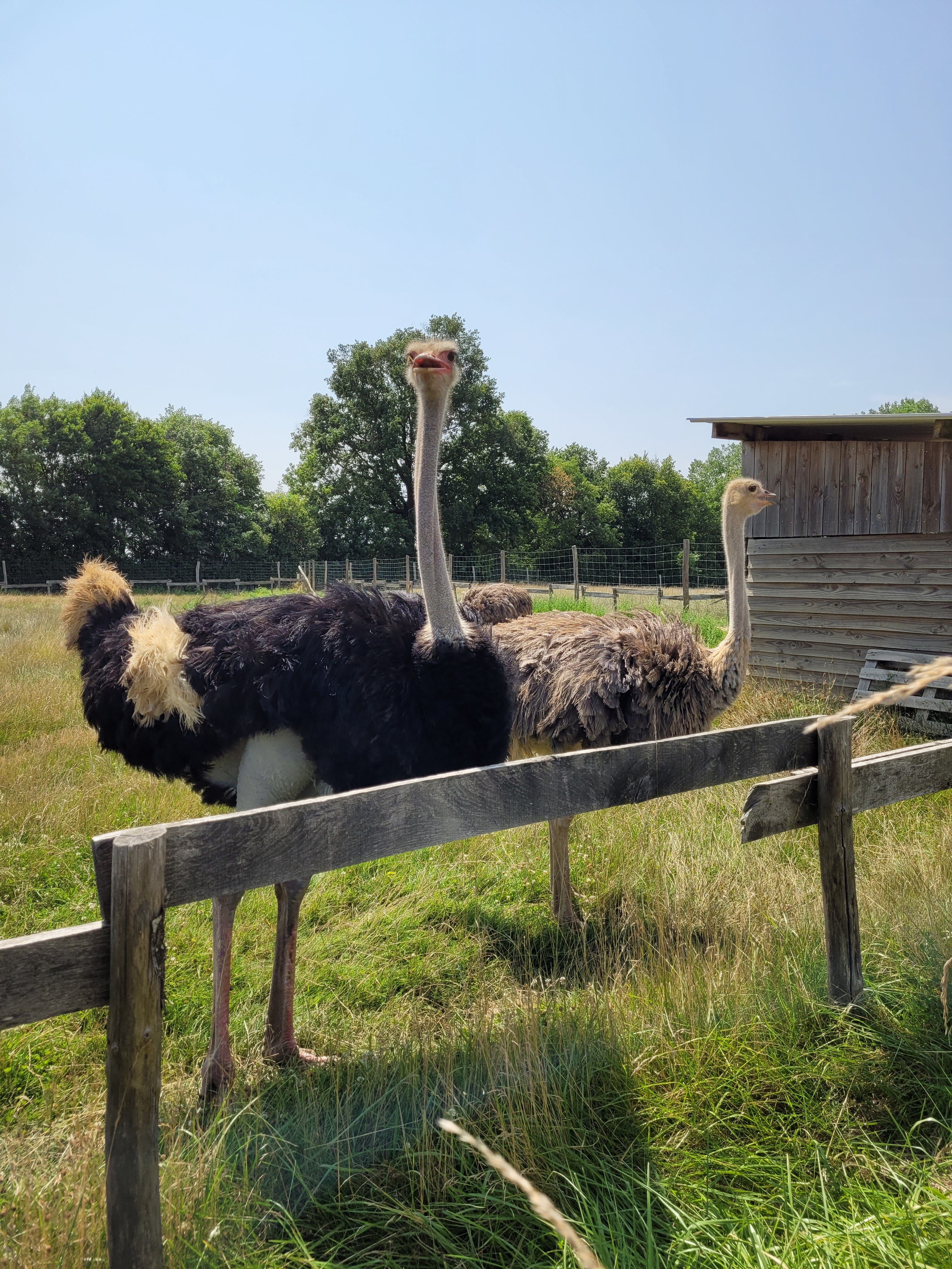 Photo n° 7 de l'avis de Stephane.n fait le 18/08/2021 à 15:08
