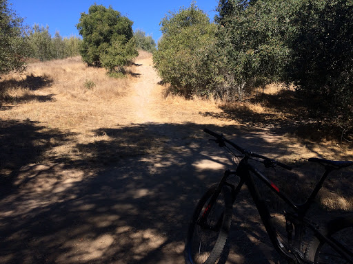 Bicycle Store «Epicenter Cycling», reviews and photos, 1730 Mission St, Santa Cruz, CA 95060, USA